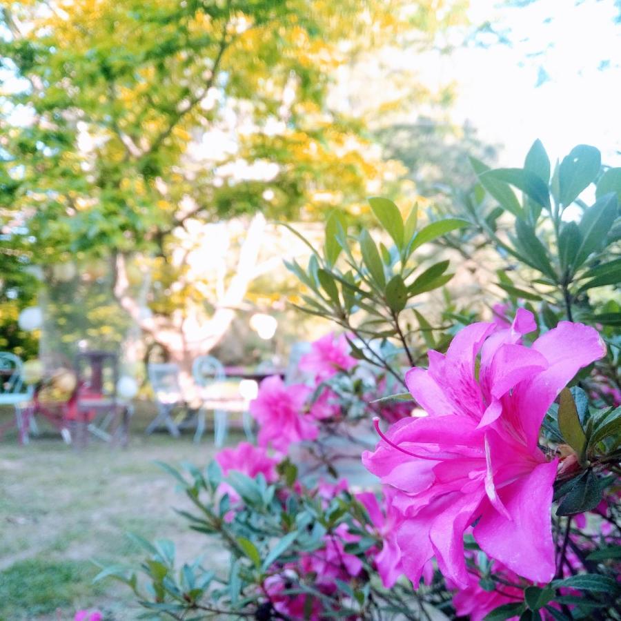 Bed and Breakfast Domaine De La Clef Des Champs Limeray Esterno foto