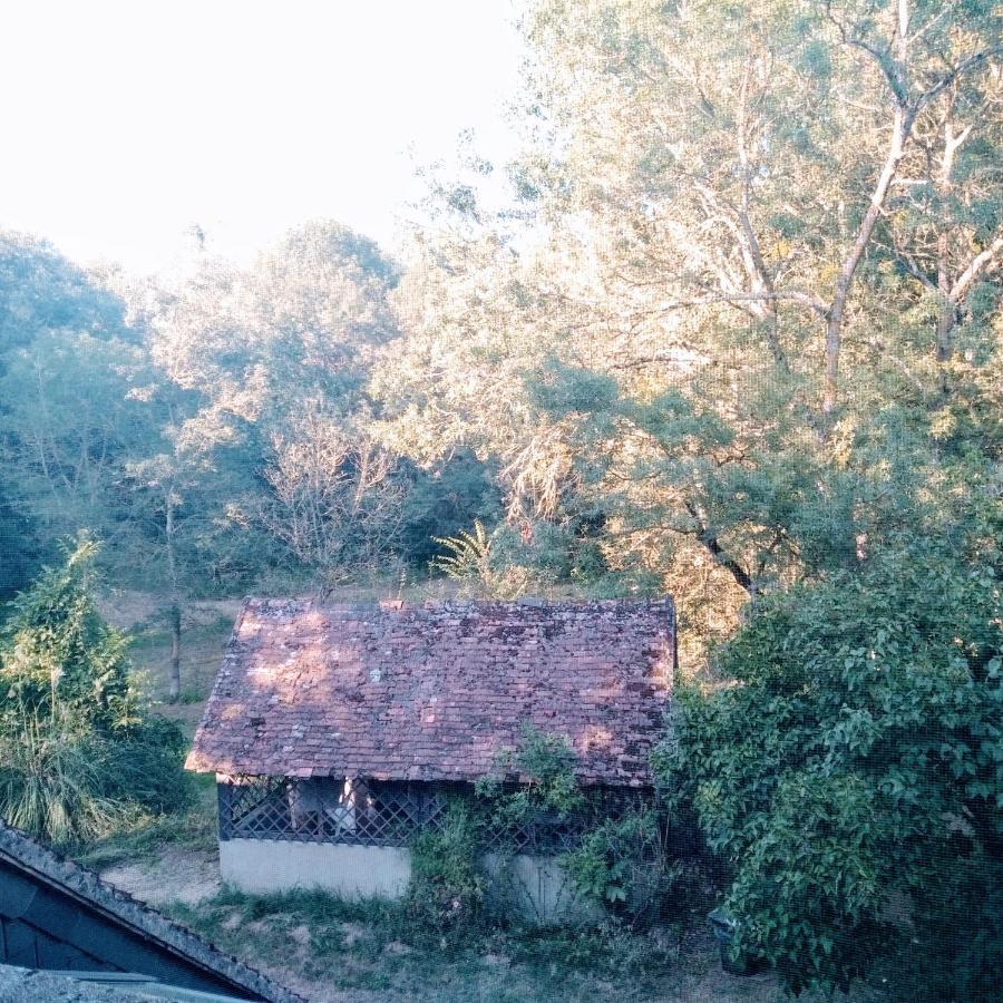 Bed and Breakfast Domaine De La Clef Des Champs Limeray Esterno foto