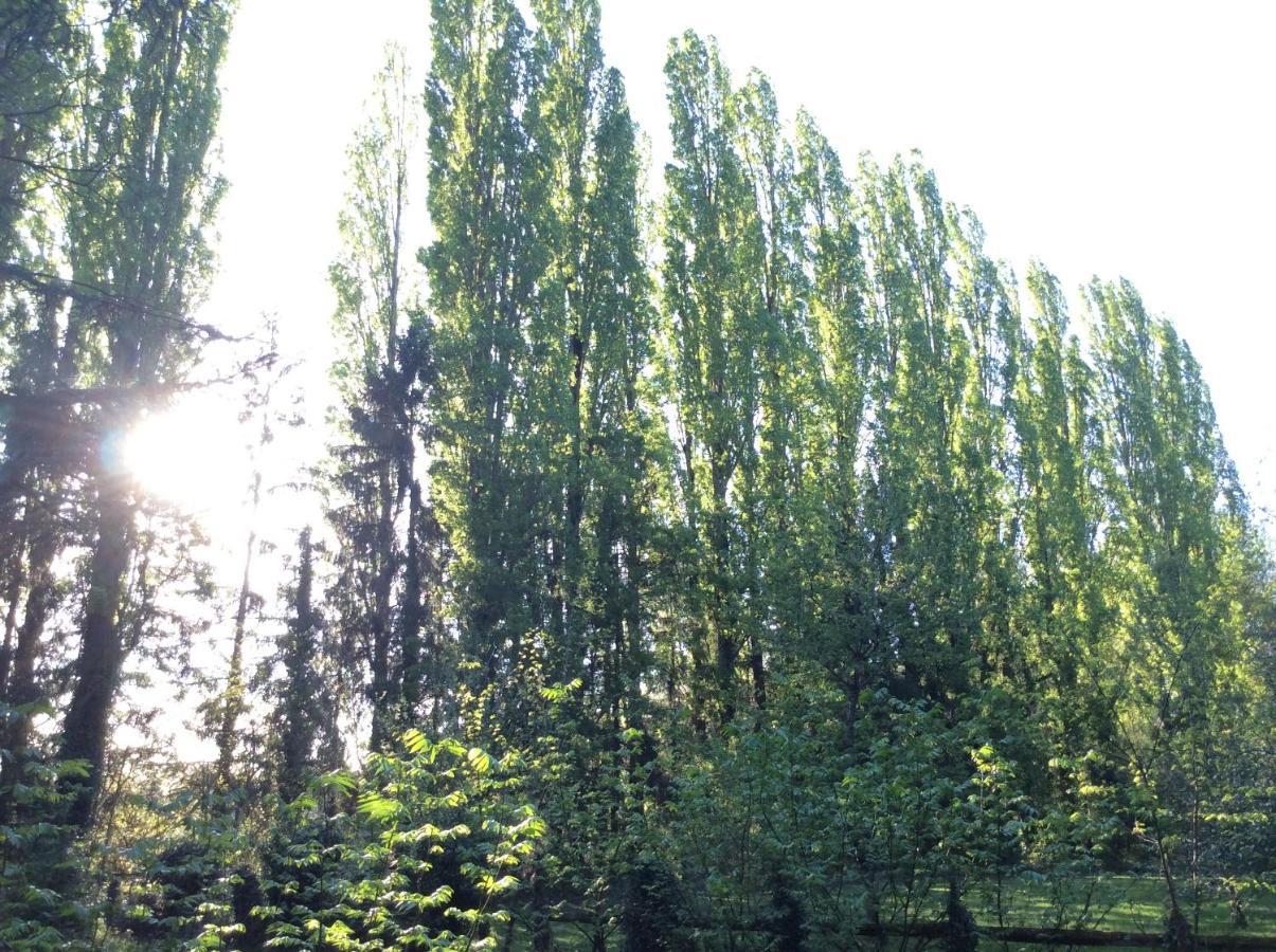 Bed and Breakfast Domaine De La Clef Des Champs Limeray Esterno foto
